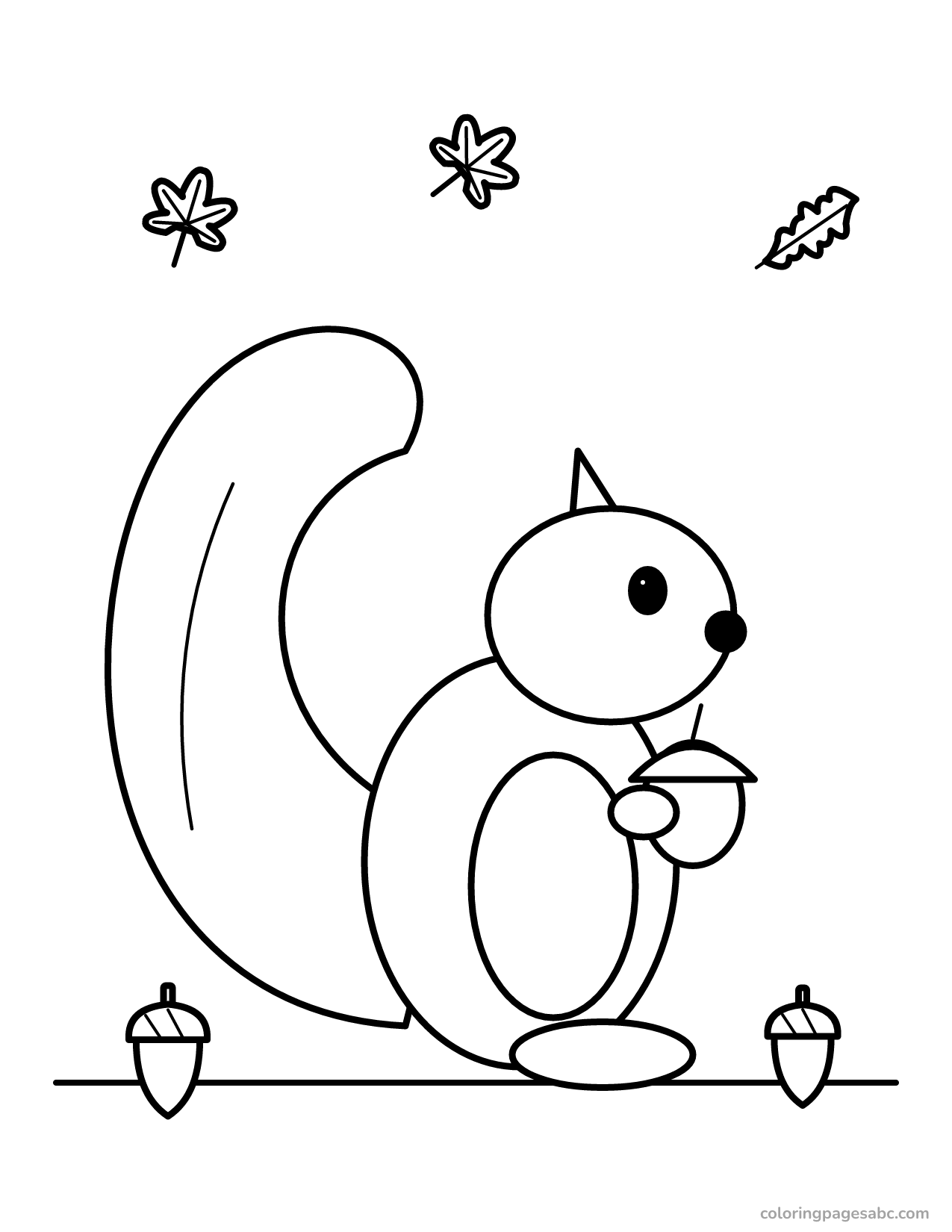 Squirrel with a big bushy tail holding an acorn coloring page